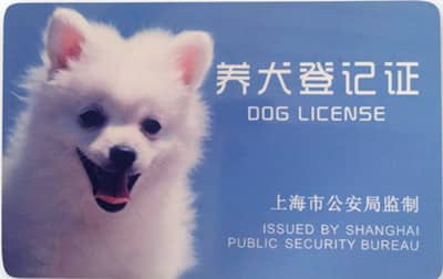 上海养犬登记证.狗狗上学的登记证