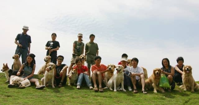 狗聚会 训狗聚会 宠物游玩 上海爱家宠物学校