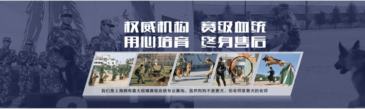 训狗师培训课程 训狗课程 训狗科目表 狗狗训练收费标准 训狗标准 上海爱家训狗基地