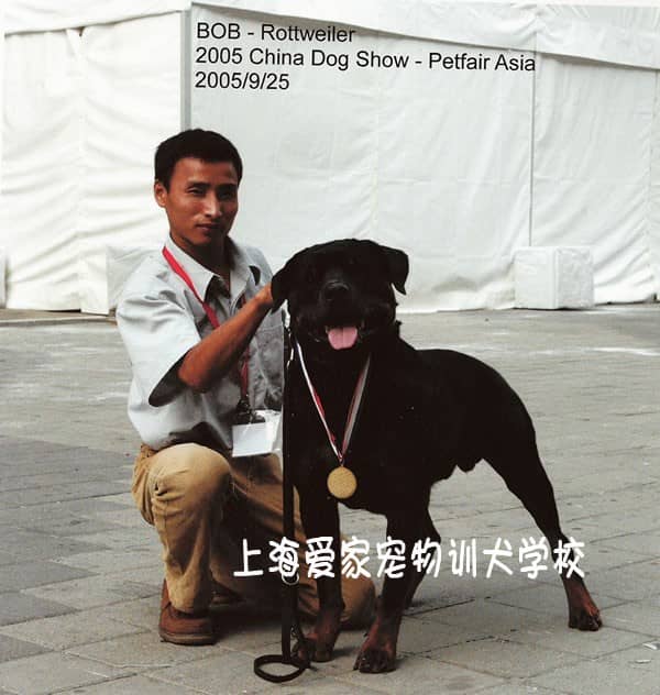 上海爱家宠物训练学校的赛级犬罗威那获奖了.jpg