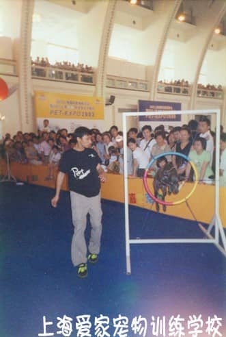 狗狗表演 训狗表演 上海爱家训狗学校 宠物训练中心.JPG