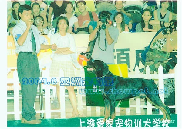 训练狗021_副本.jpg