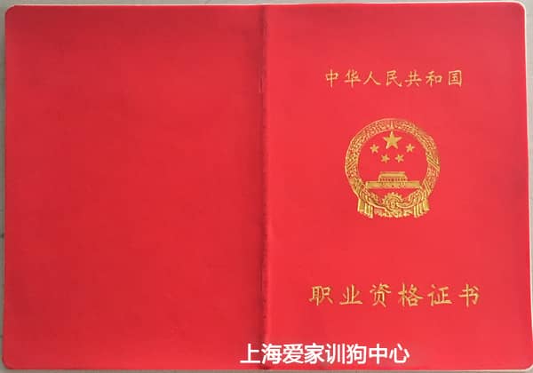 549.jpg