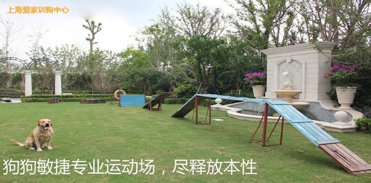 554.jpg