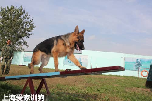 615.jpg