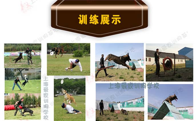 课程副本_副本0005_副本.jpg